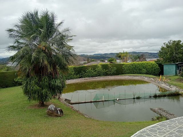 place photo 51