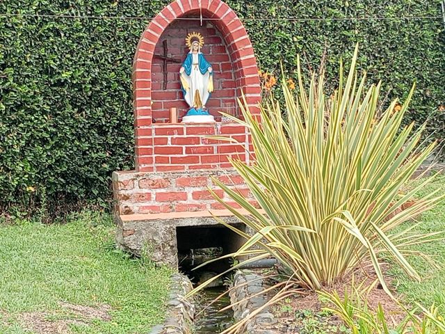 place photo 54