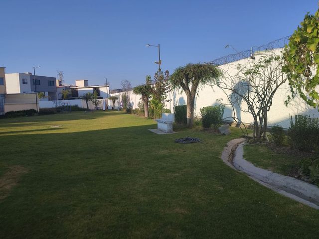 place photo 39