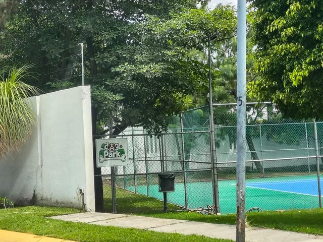 place photo 18