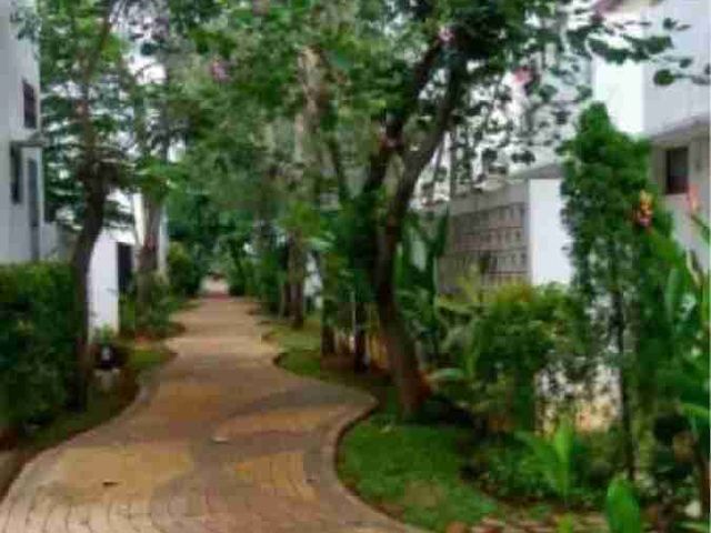 place photo 15