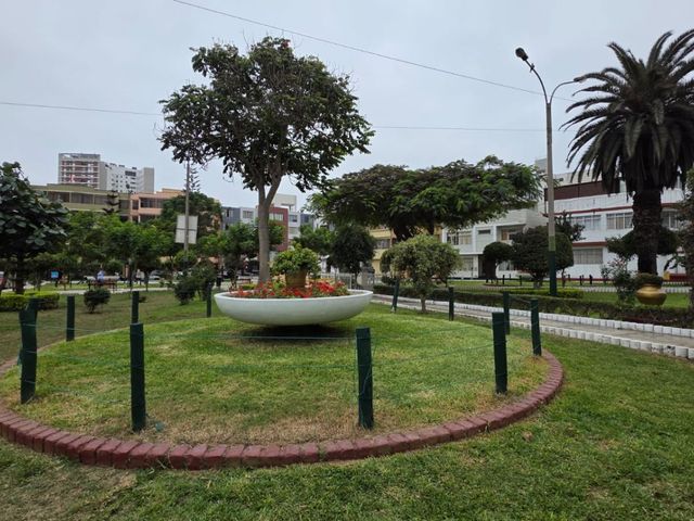 place photo 17