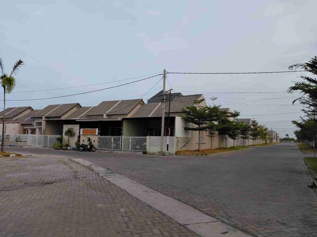 place photo 15