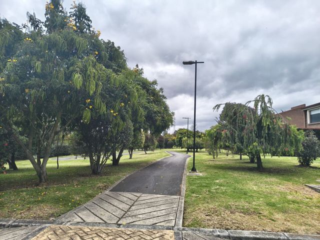 place photo 26