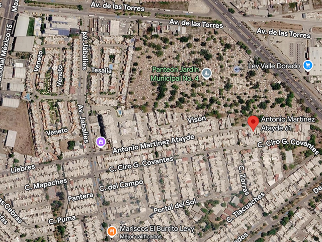 place photo 15