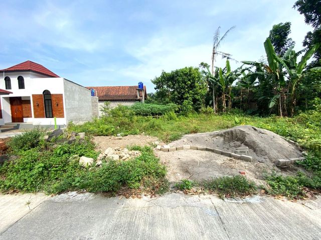 place photo 3