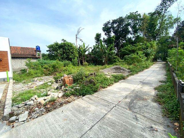 place photo 4