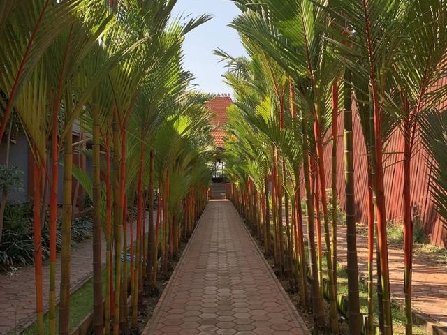 place photo 15