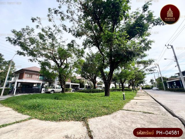 place photo 42