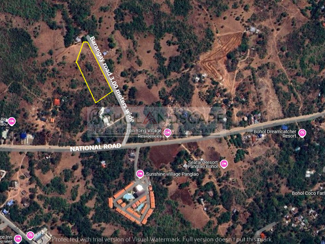 place photo 16