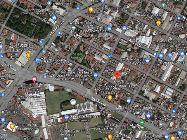 place photo 12