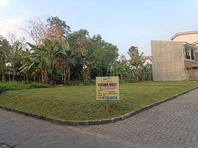 place photo 12
