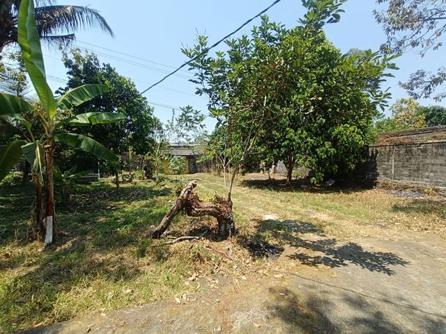 place photo 16