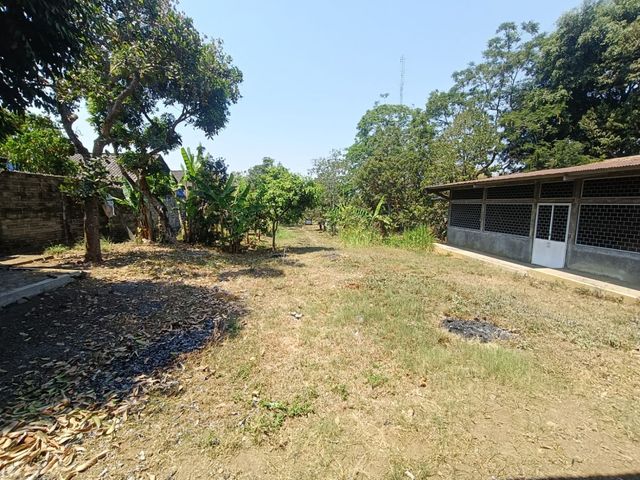place photo 18