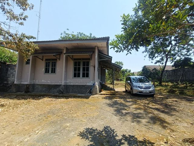 place photo 15
