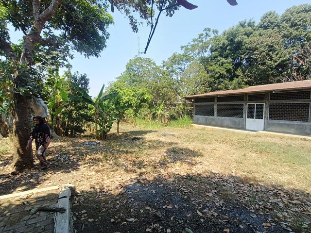 place photo 19