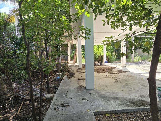 place photo 14