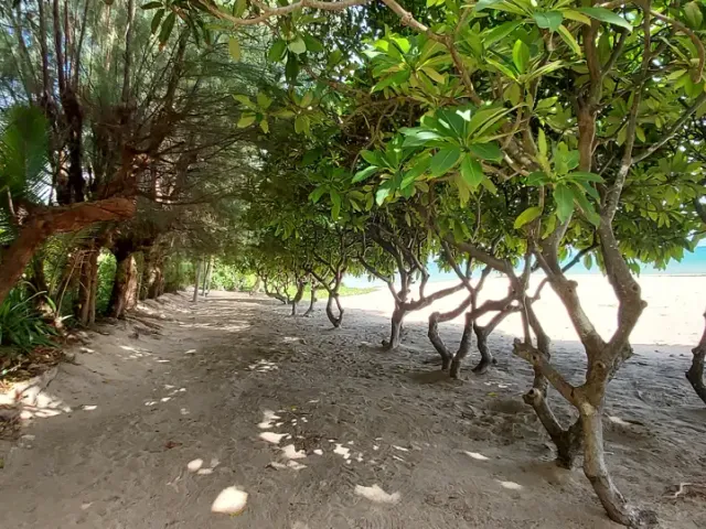 place photo 38