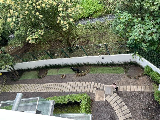 place photo 54