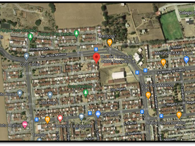 place photo 7
