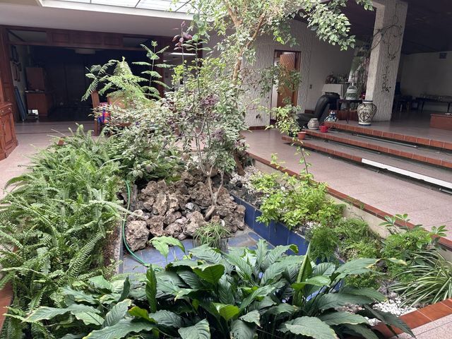 place photo 18