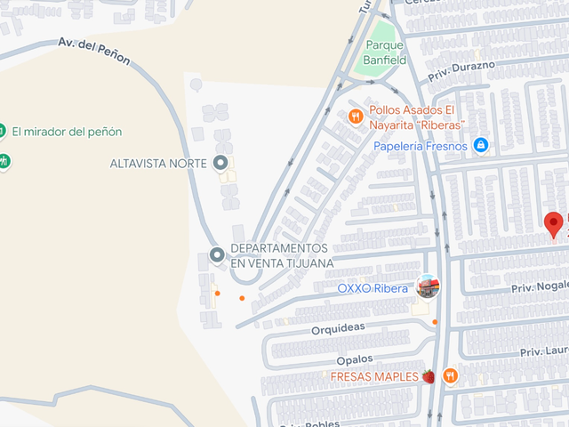 place photo 12
