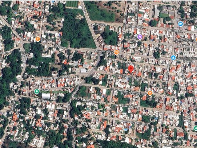 place photo 9
