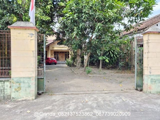 place photo 1