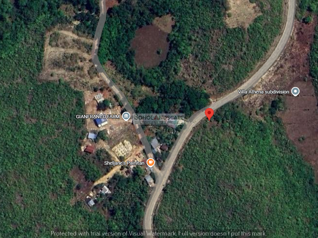 place photo 8