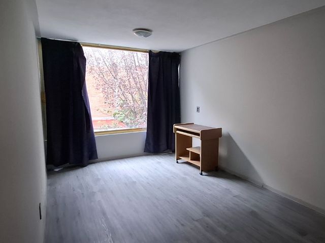 place photo 40