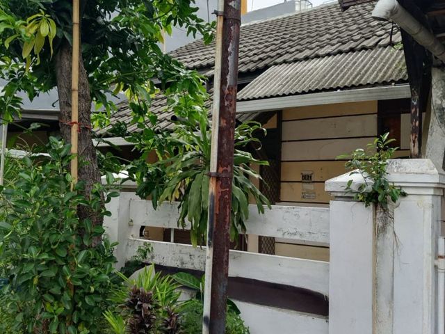 place photo 23