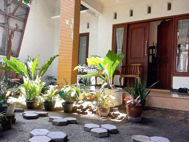 place photo 7