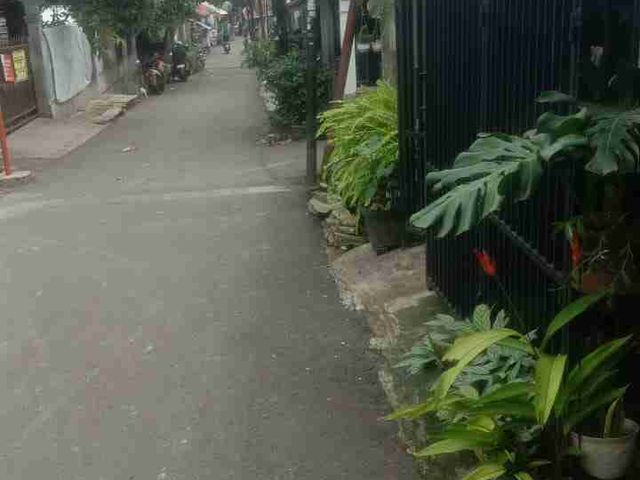 place photo 7