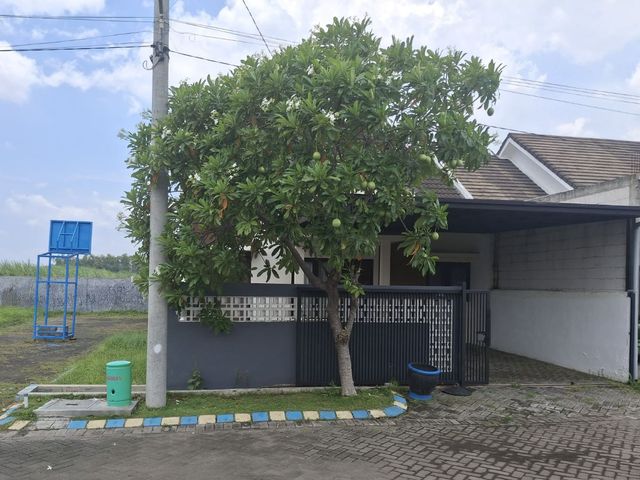 place photo 8