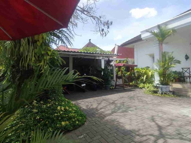 place photo 9