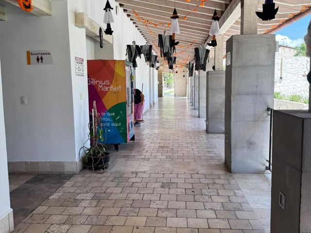 place photo 13