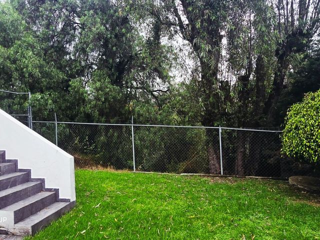 place photo 49