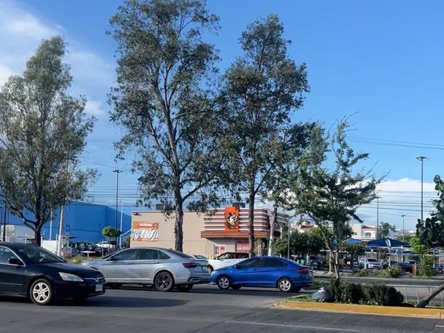 place photo 38