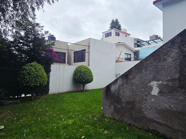 place photo 54