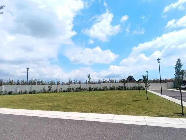 place photo 38