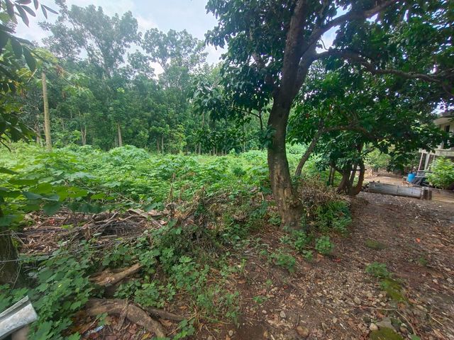 Flood-Free Residential Lots for Sale in Munting Batangas, Balanga City, Bataan – Clean TCT, Ready for Transfer
