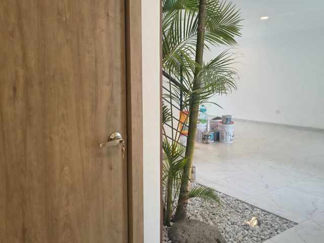 place photo 36