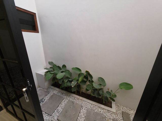 place photo 46