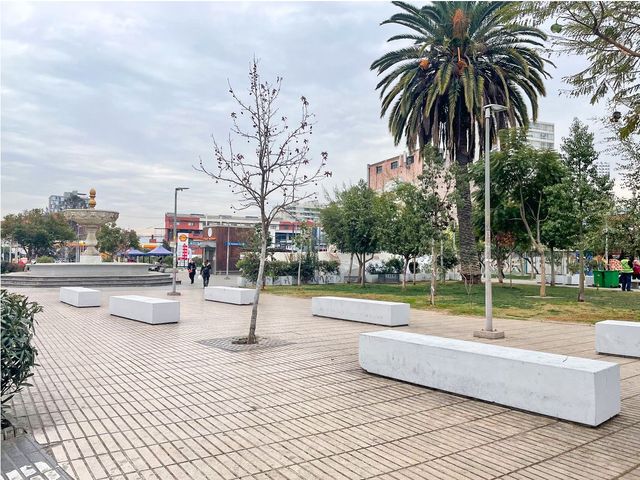 place photo 29