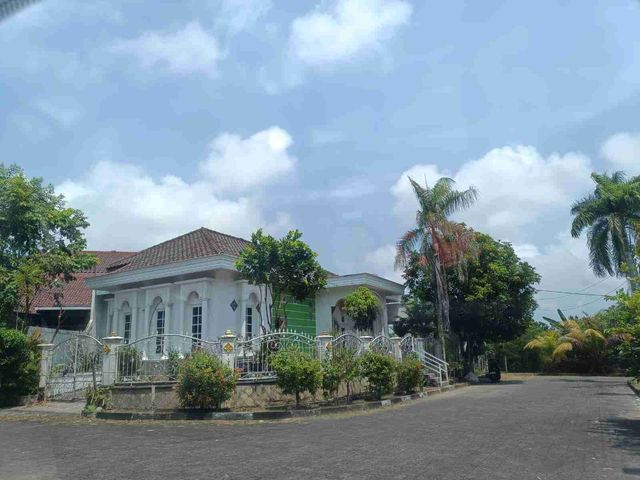 place photo 13
