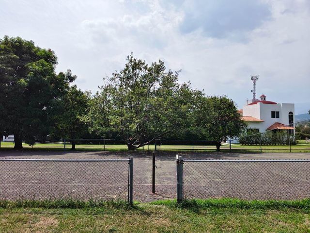 place photo 14