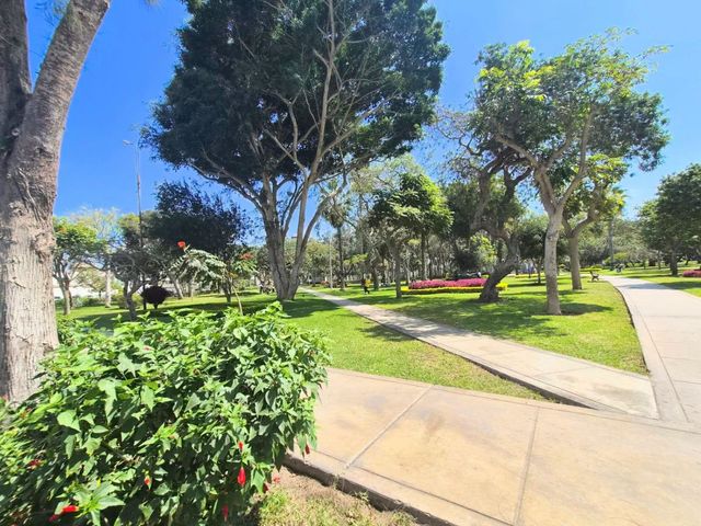 place photo 42