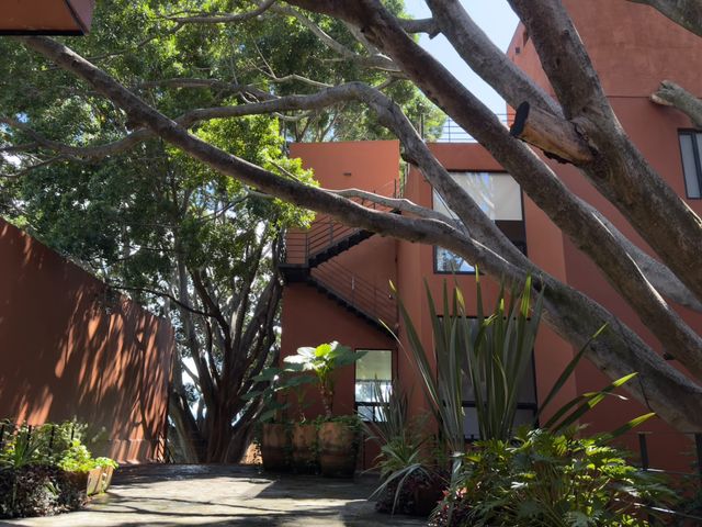place photo 41