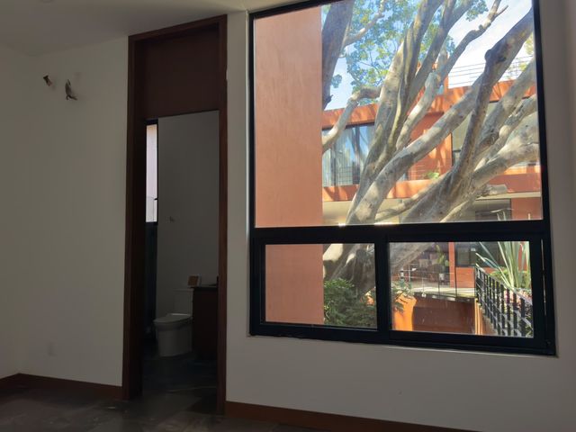 place photo 44