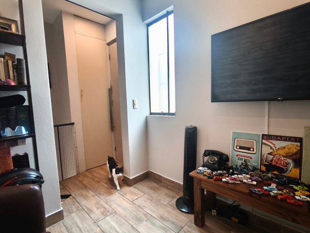 place photo 29